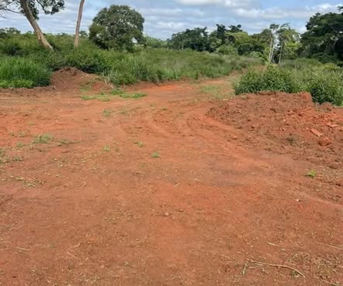 Terrain à vendre à Meyo – Essabi