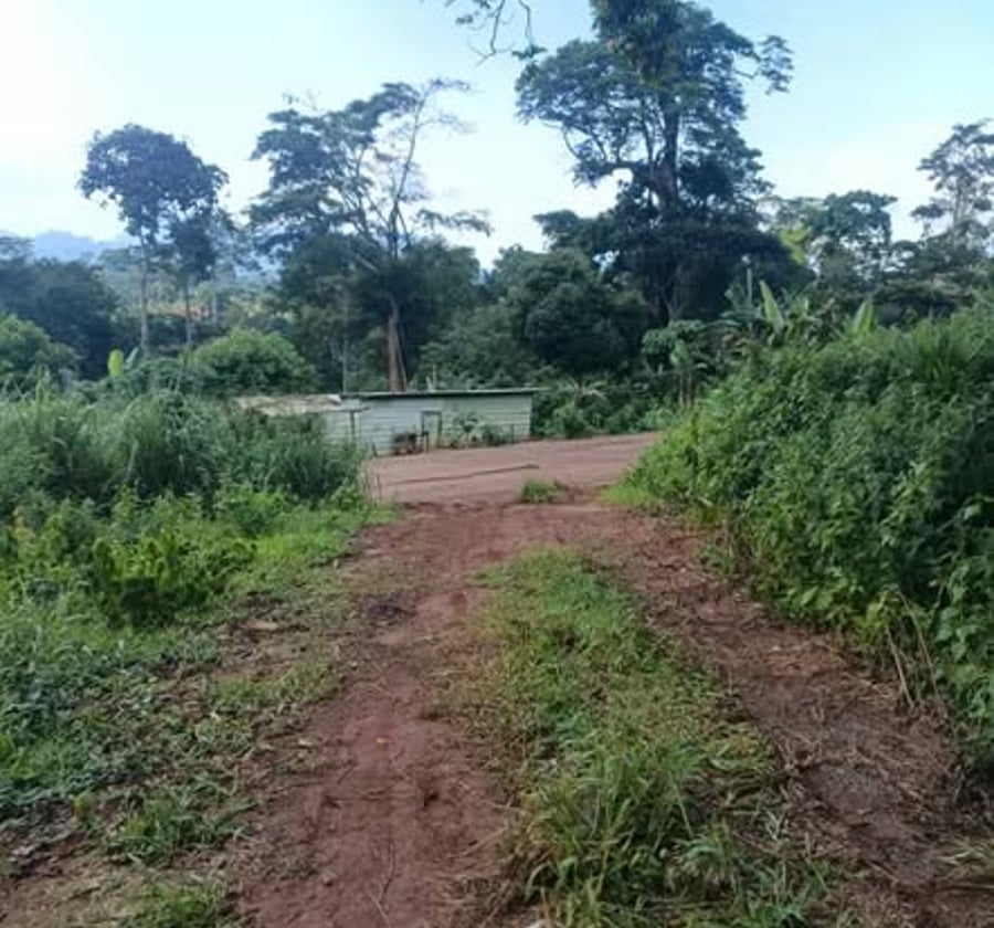 Terrain d'habitation à vendre à Obili, Yaoundé - 439 m²