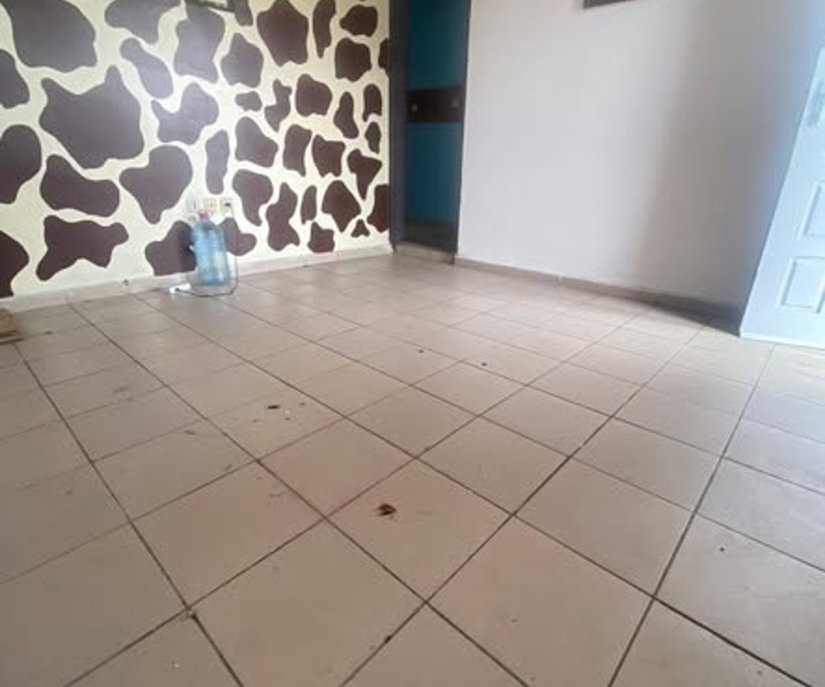 Studio moderne 4 pièces - Bépanda, Douala