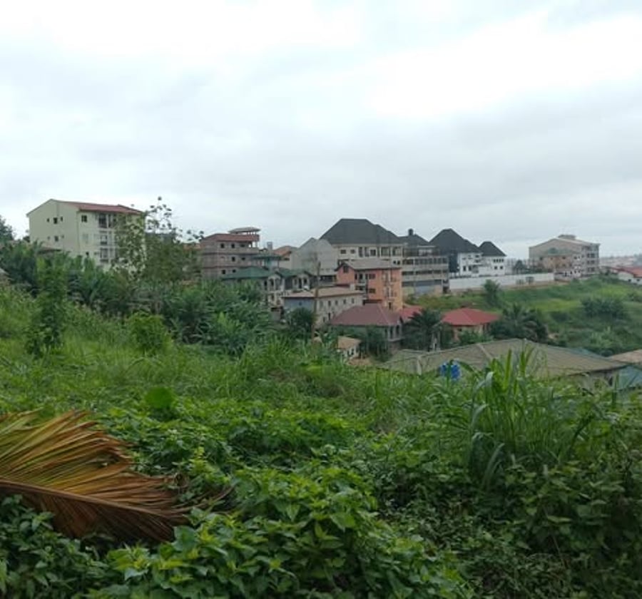Terrain à vendre à Yaoundé Ahala