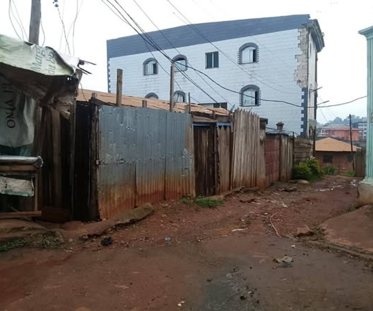 Terrain à vendre – Tsinga, Yaoundé – 463 m²