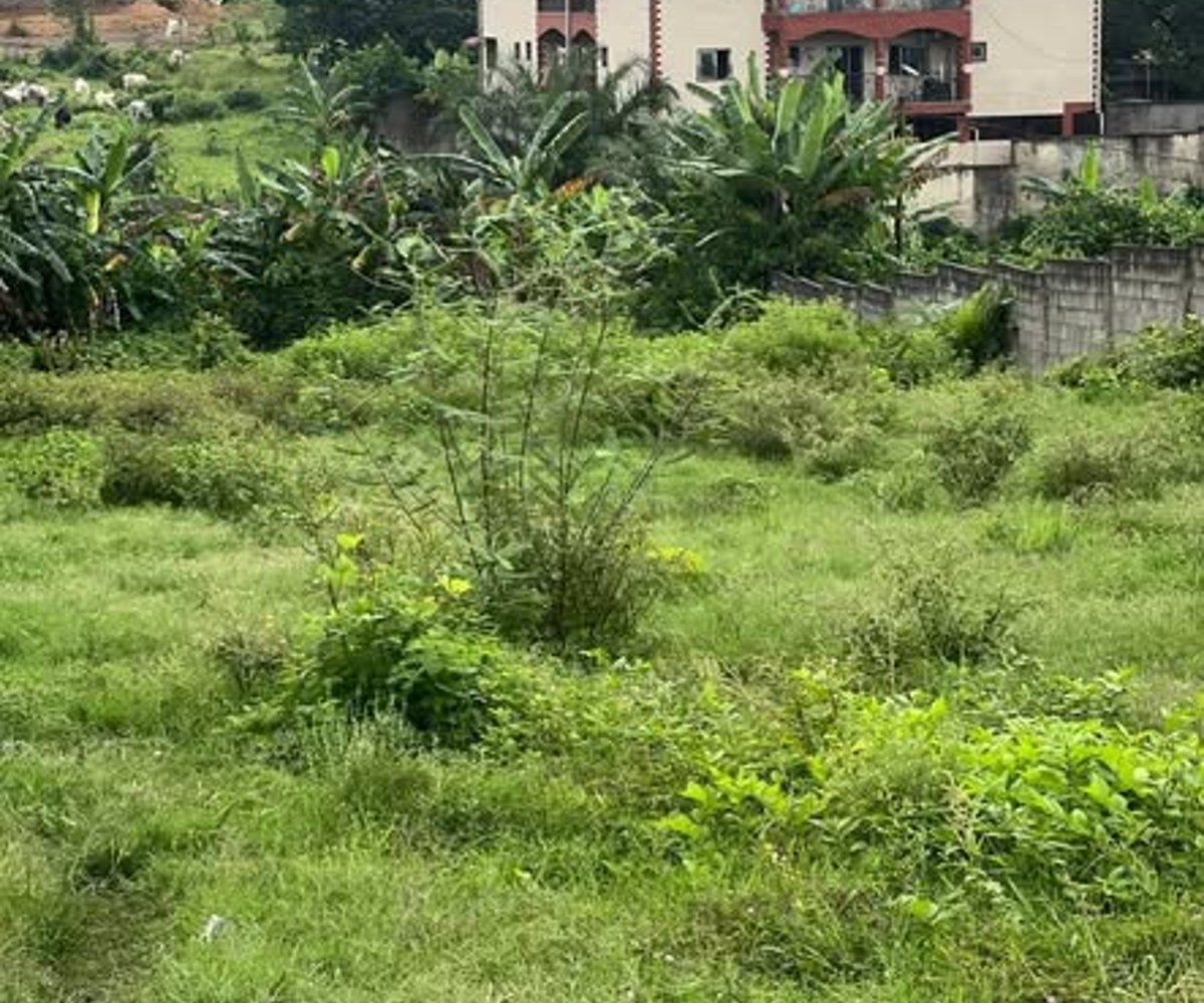 Terrain à Yassa - 2000 m² - 70 000 FCFA/m²