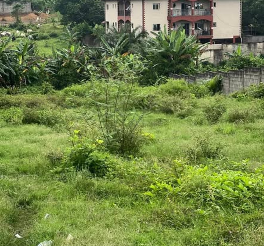 Terrain à Yassa - 2000 m² - 70 000 FCFA/m²