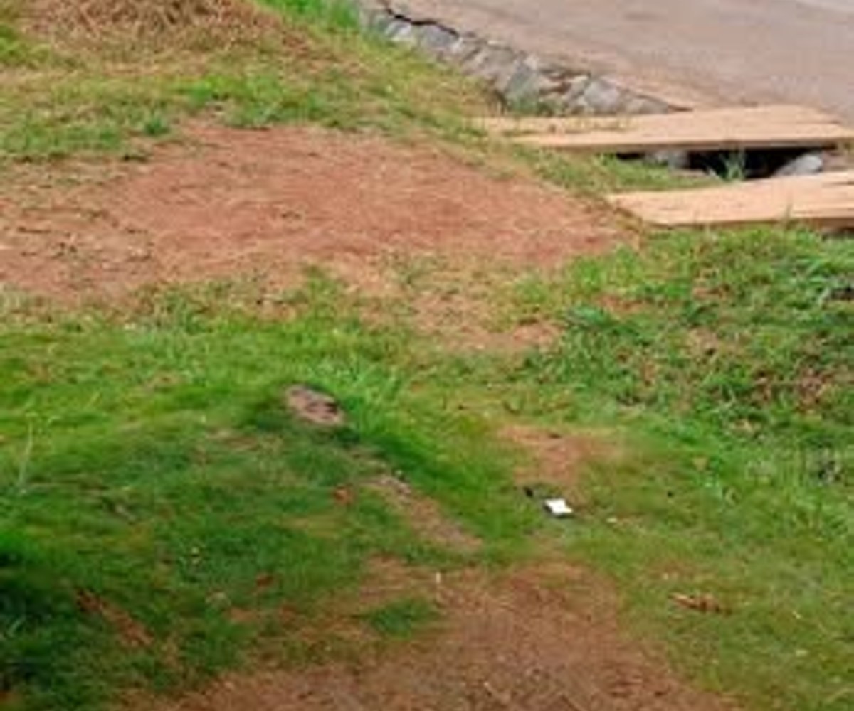 Terrain titré à vendre à Abing, Afanayo, Yaoundé