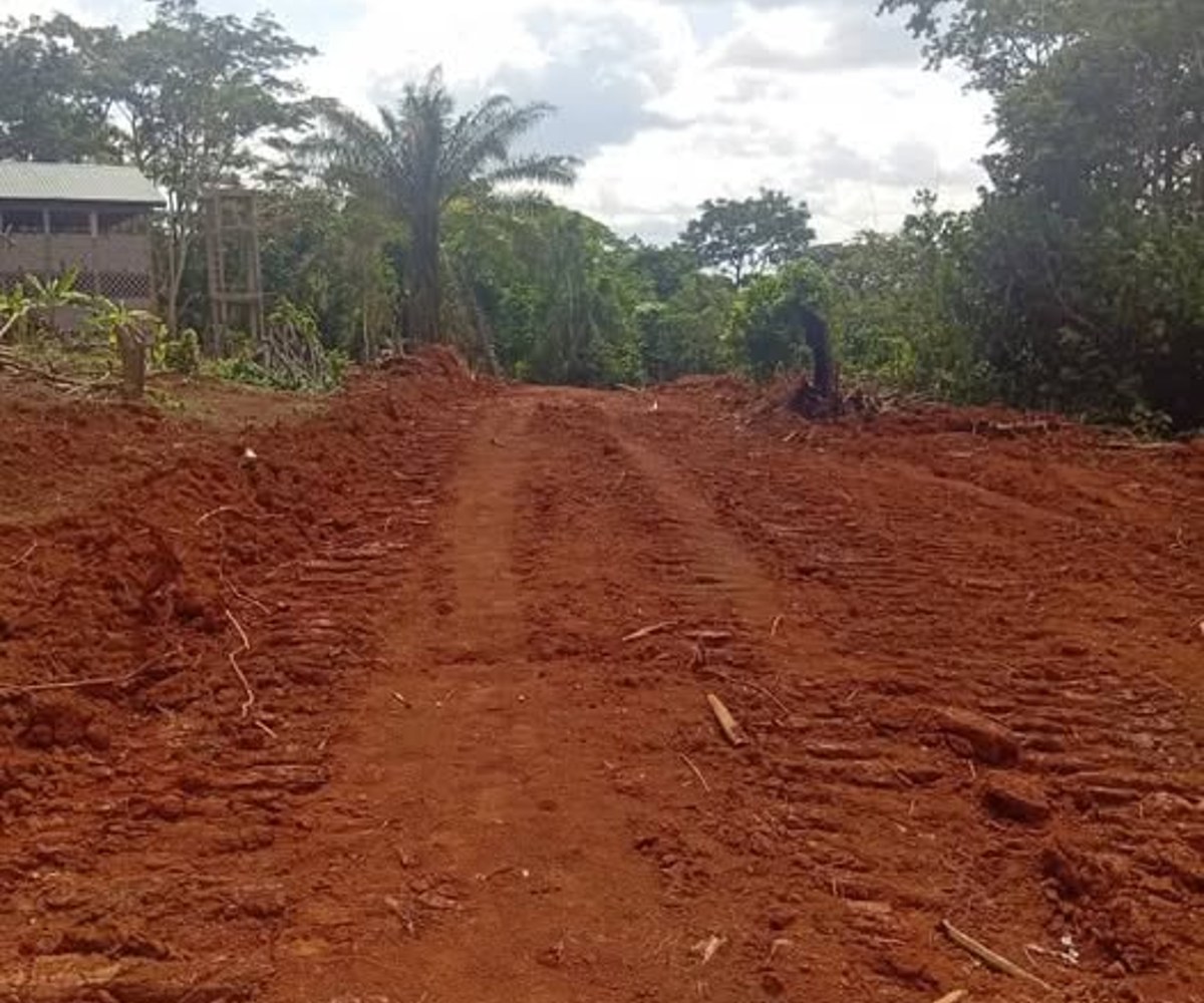 Terrain à vendre à Nkoabang - 1000 m² titré