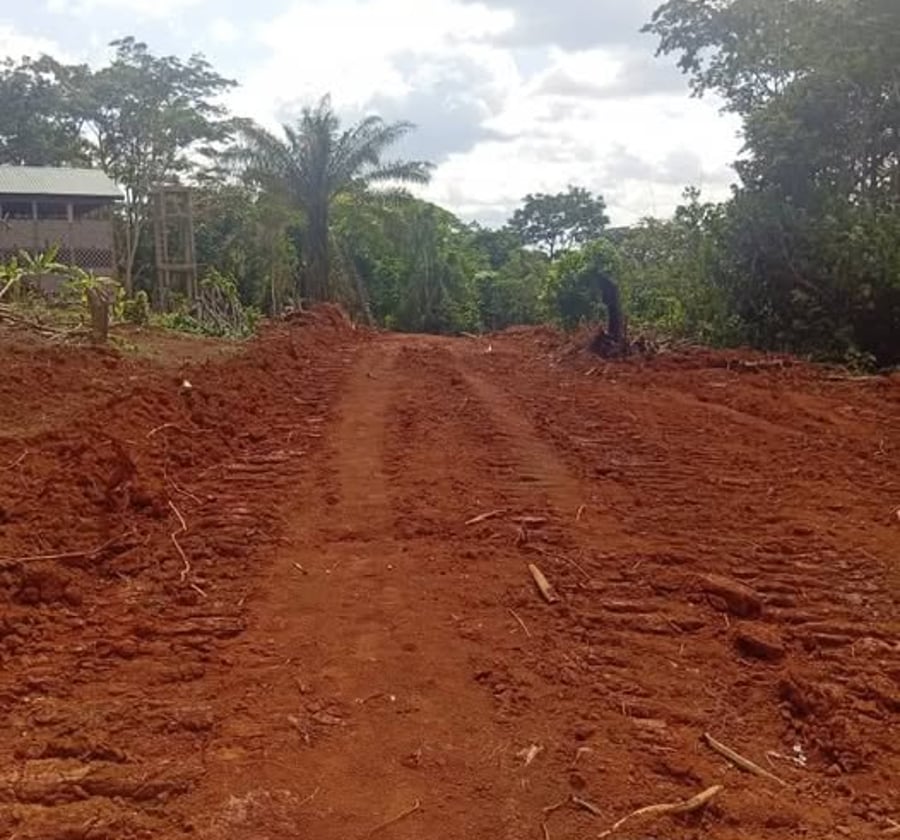Terrain à vendre à Nkoabang - 1000 m² titré