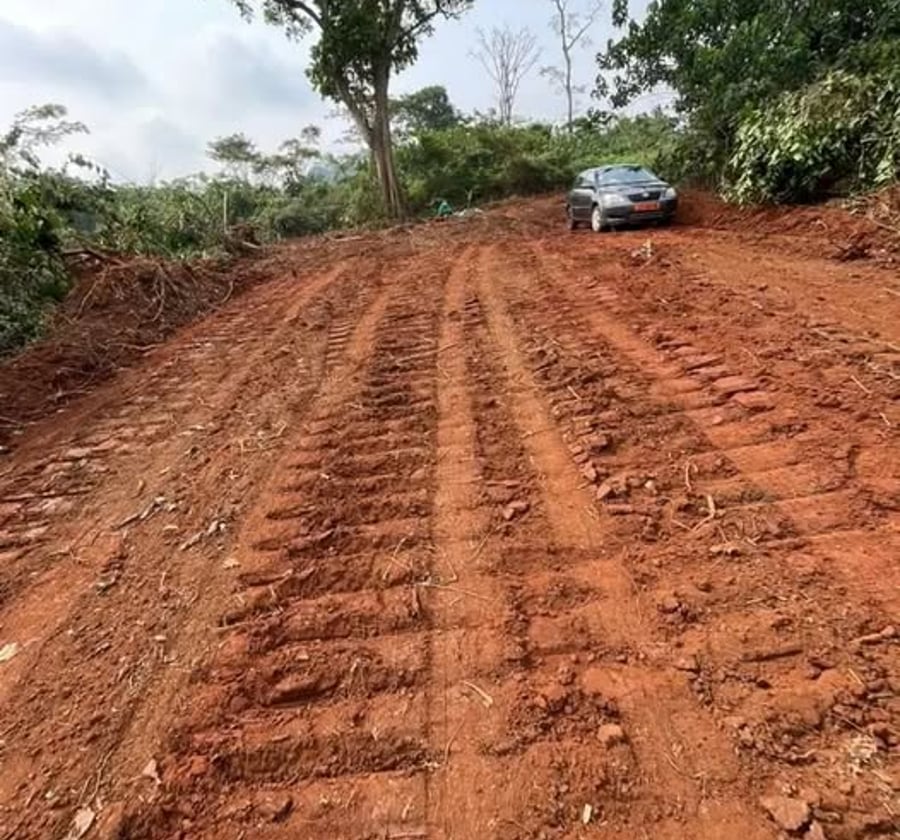 Terrain à vendre à Meyo – Essabi