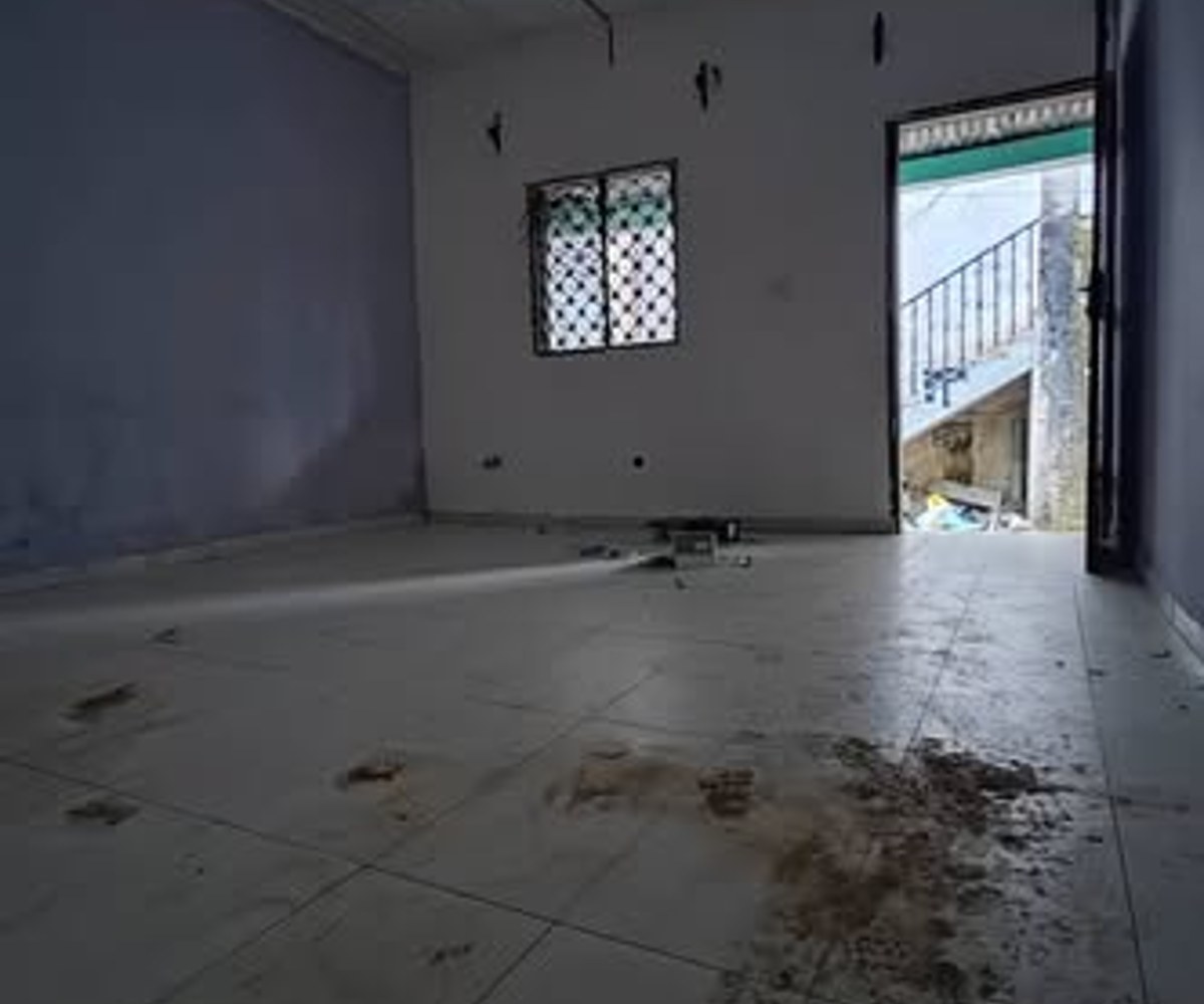 Grand appartement moderne à louer - PK 10, Douala