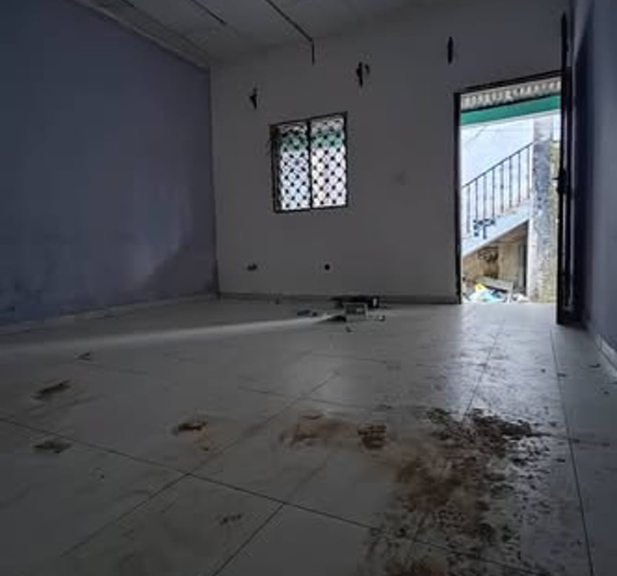 Grand appartement moderne à louer - PK 10, Douala