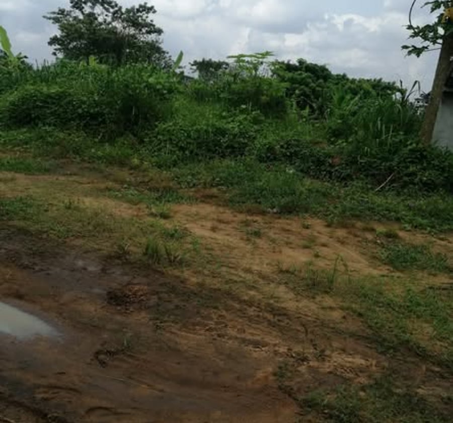 Terrain à vendre à Mbanga Bakoko – Douala Horizon