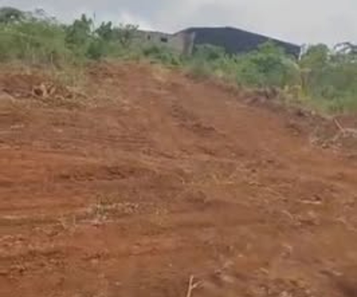Terrain à vendre à Nkolfoulou, Yaoundé - 250 m²