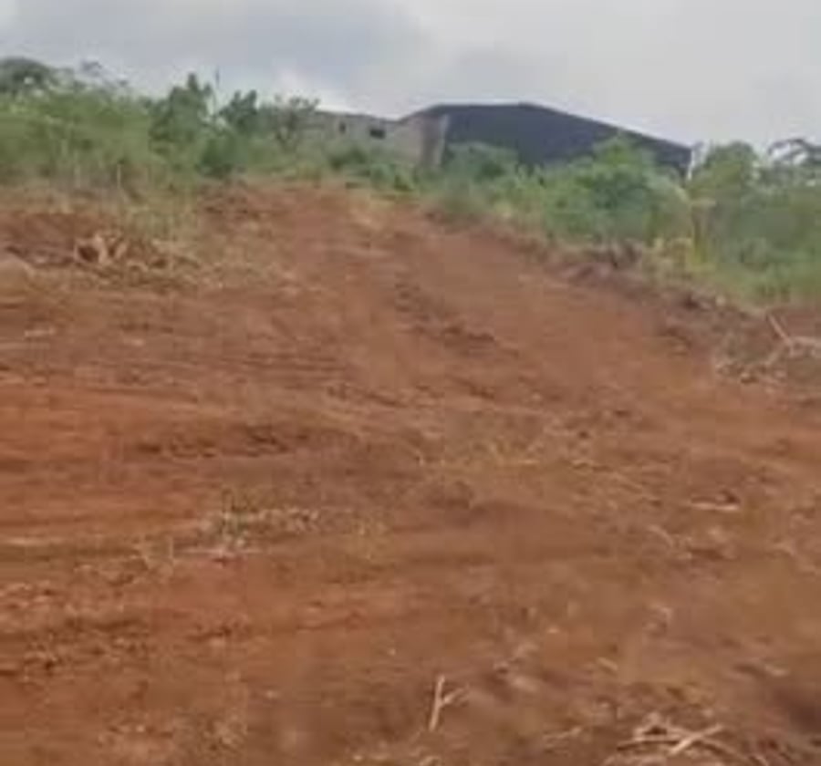 Terrain à vendre à Nkolfoulou, Yaoundé - 250 m²