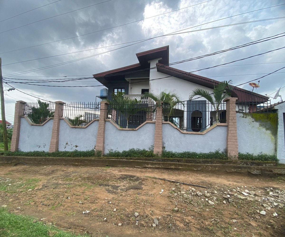 Magnifique et vaste duplex 05 chambres à louer - Ndogbong