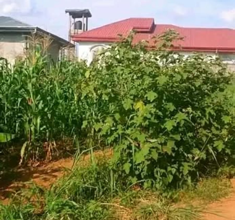 Lot résidentiel 500 m² à Odza, Yaoundé