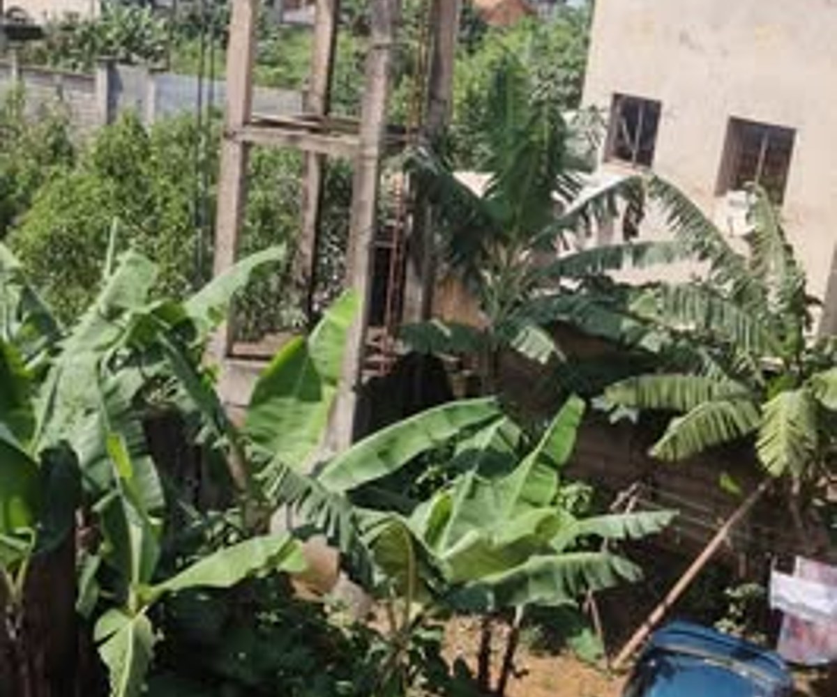 Maison 2 chambres à louer à Tsinga Village