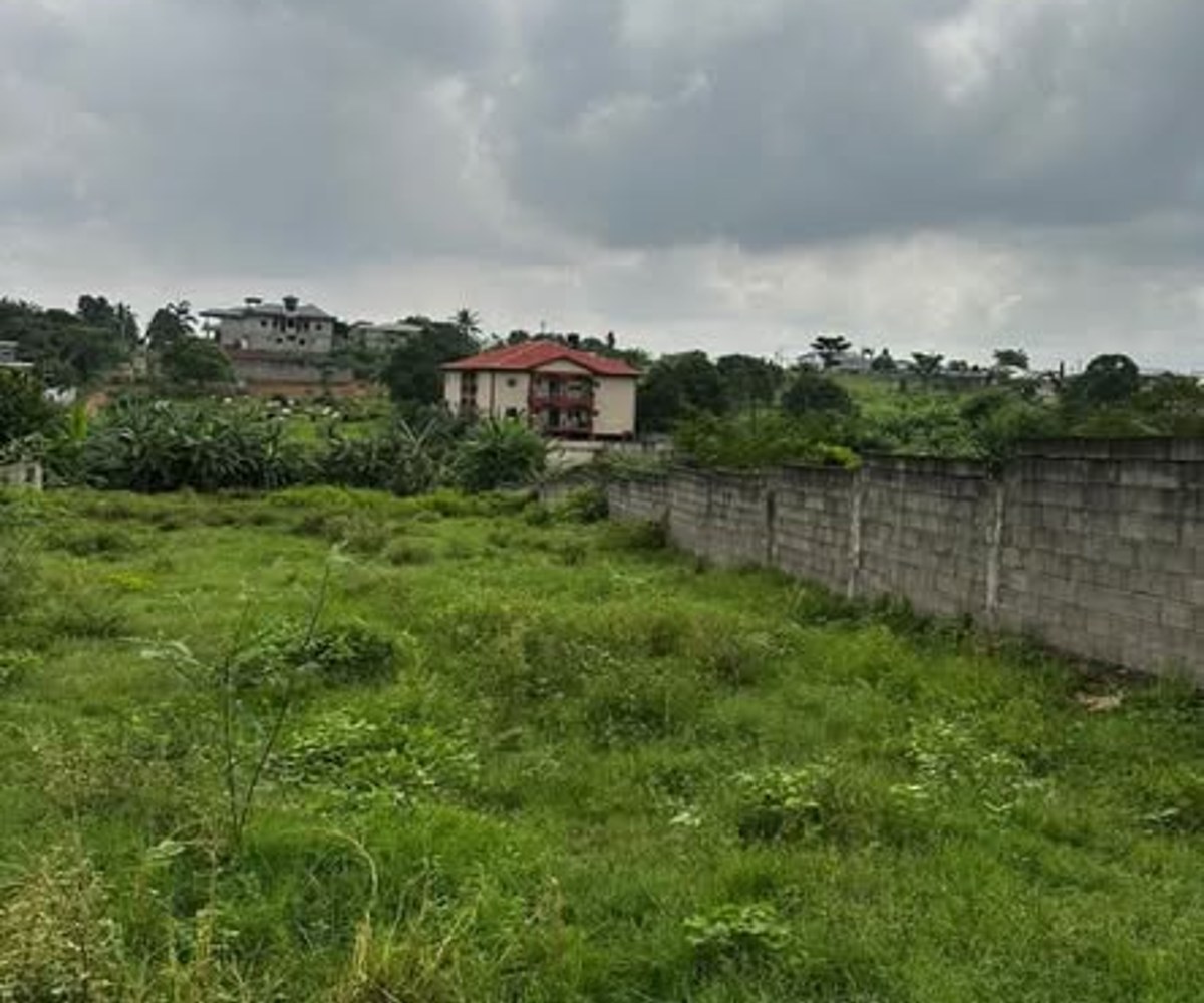 Terrain titré à vendre à Douala Yassa - 2000 m²