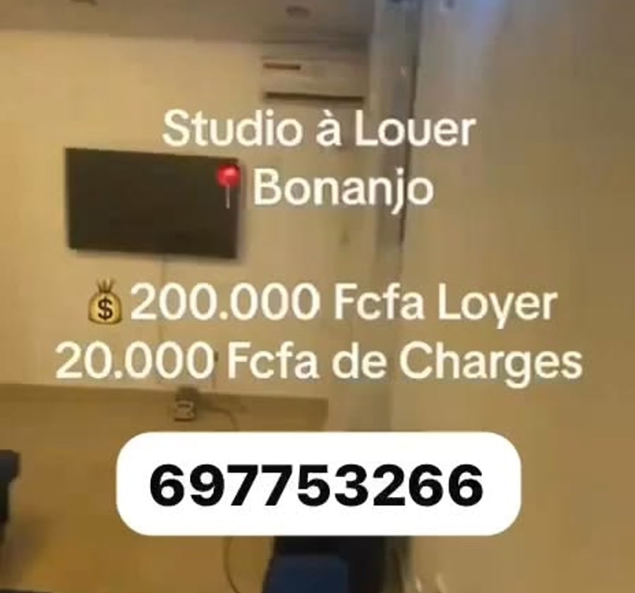 Grand studio très haut standing à louer – Bonanjo, Douala