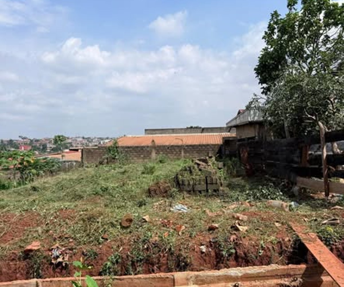 Terrain titré plat à vendre - Eleveur, Yaoundé