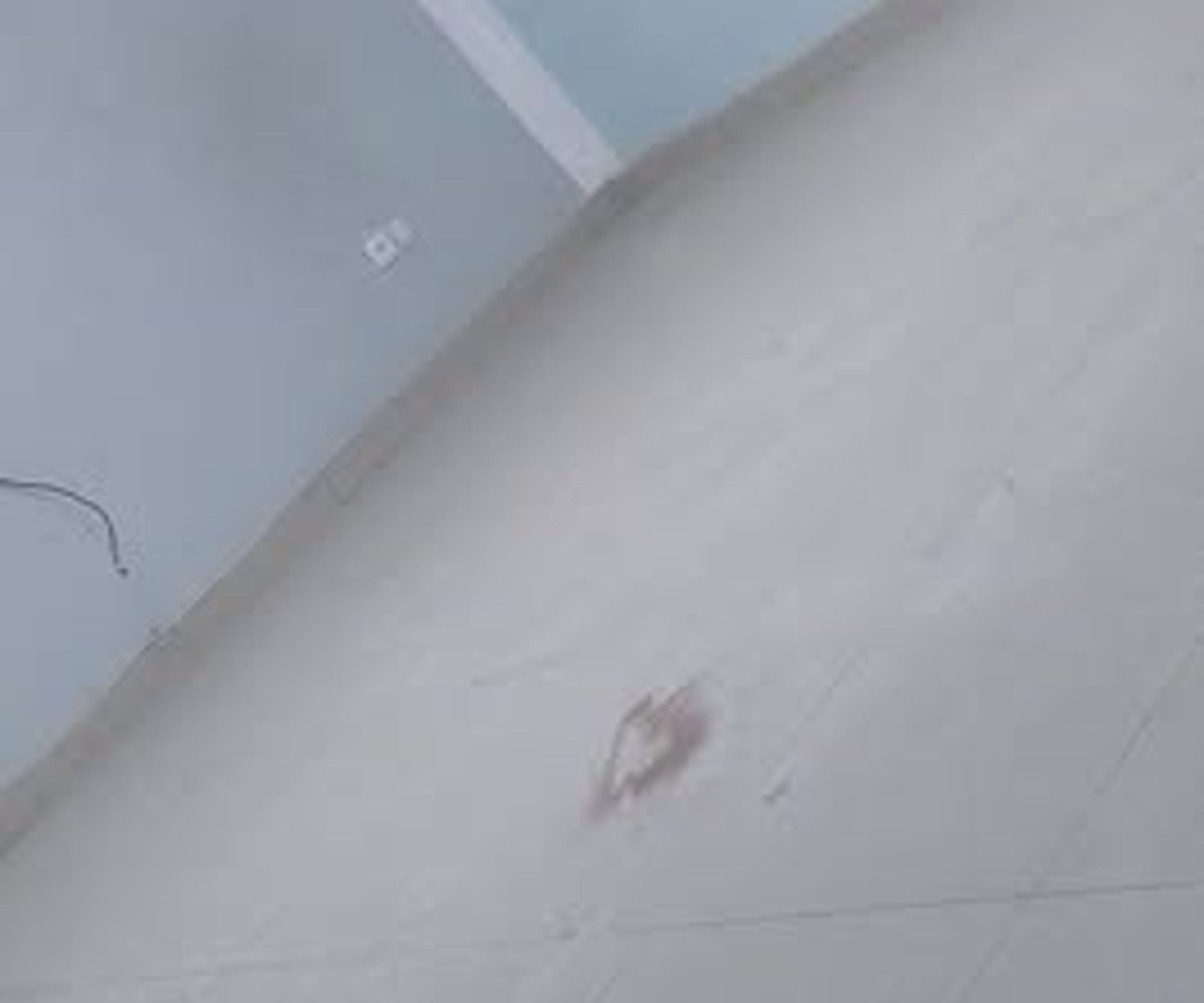 Studio à louer à Ndogpassi, Douala