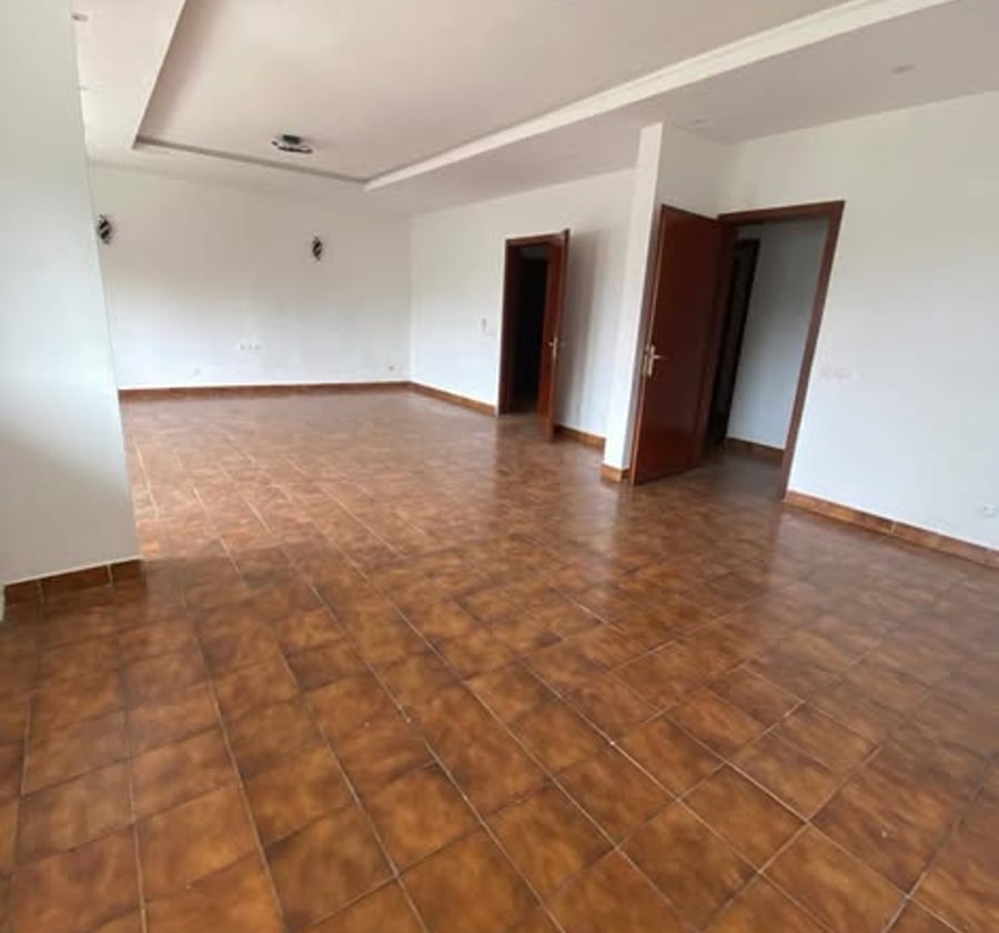 Appartement 3 chambres Bon Standing à louer - Bonapriso, Douala