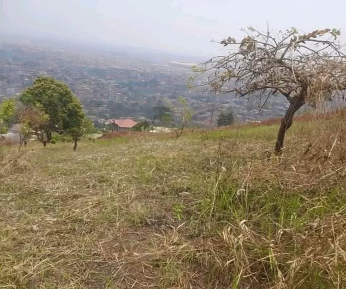 Terrain à vendre à Nkozoa – 4500 m²