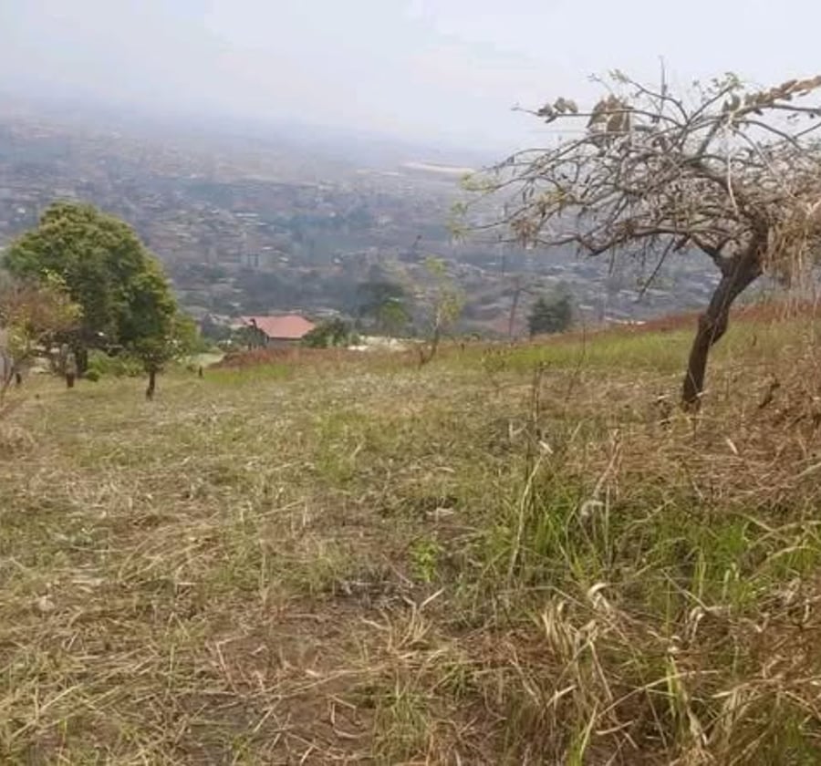 Terrain à vendre à Nkozoa – 4500 m²
