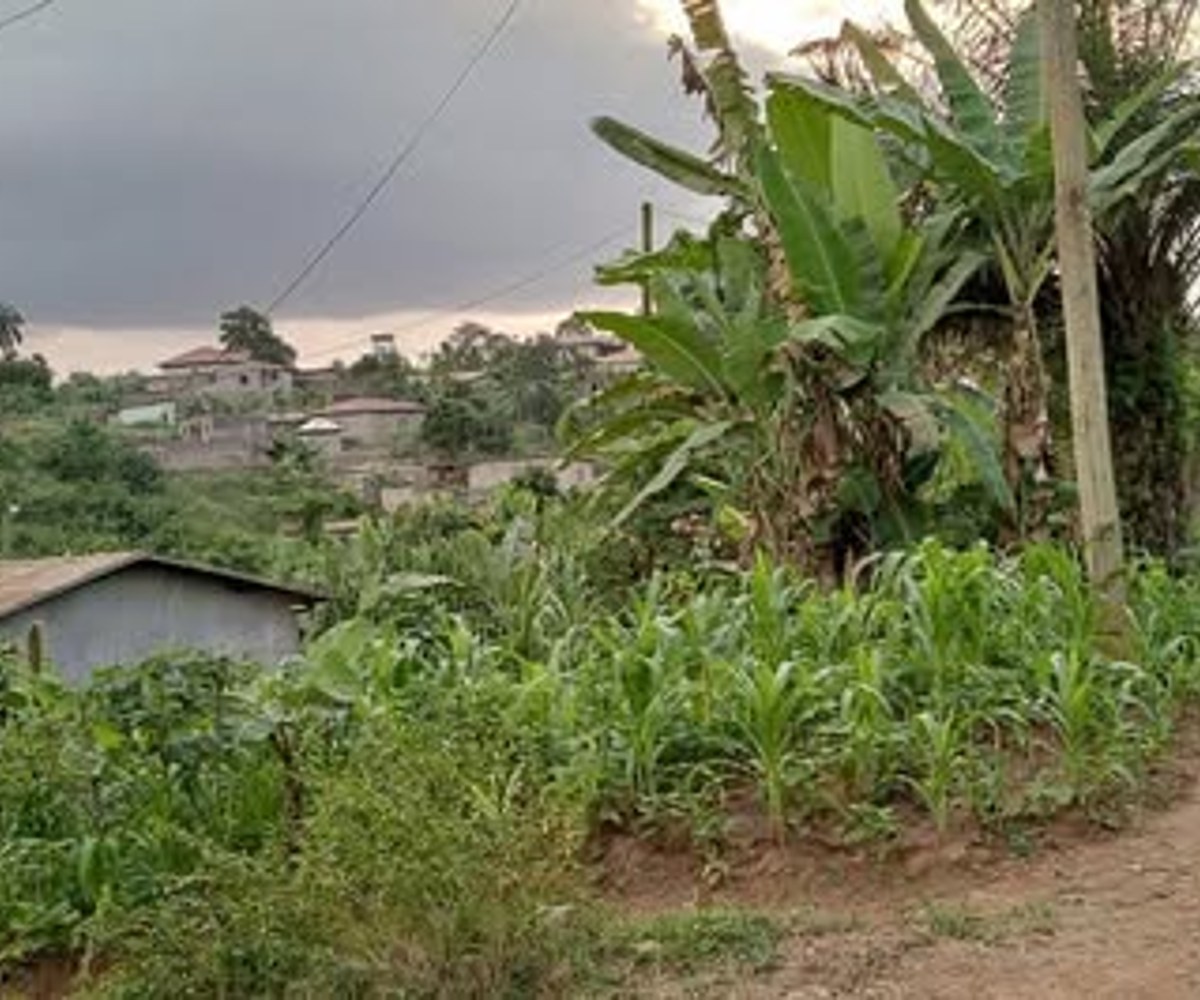 Terrain titré à vendre à Nkoabang - 300 m²