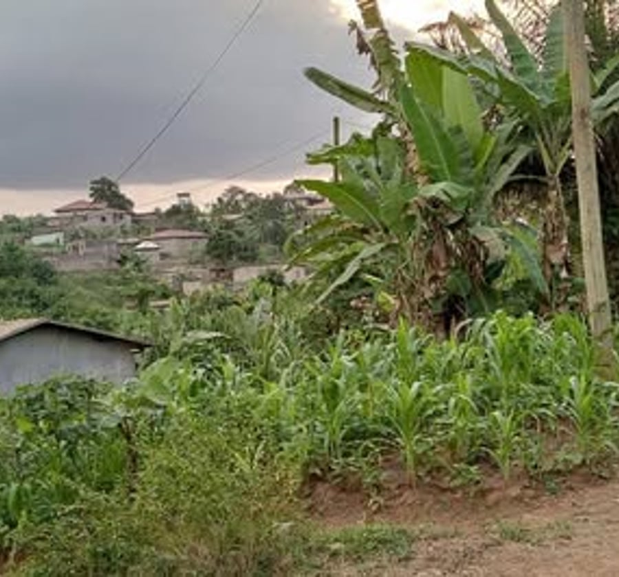 Terrain titré à vendre à Nkoabang - 300 m²