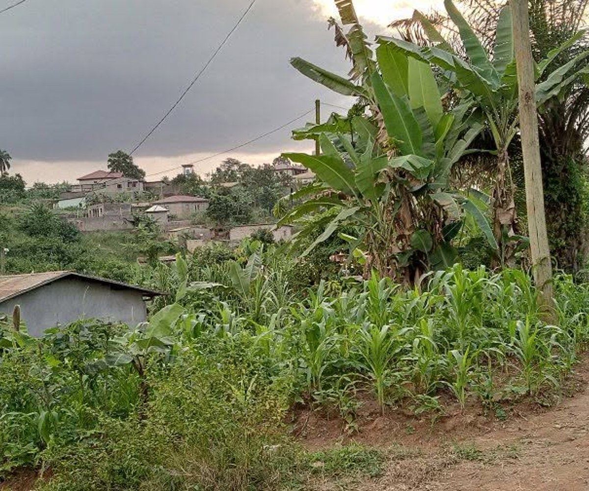 Terrain titré à vendre à Nkoabang