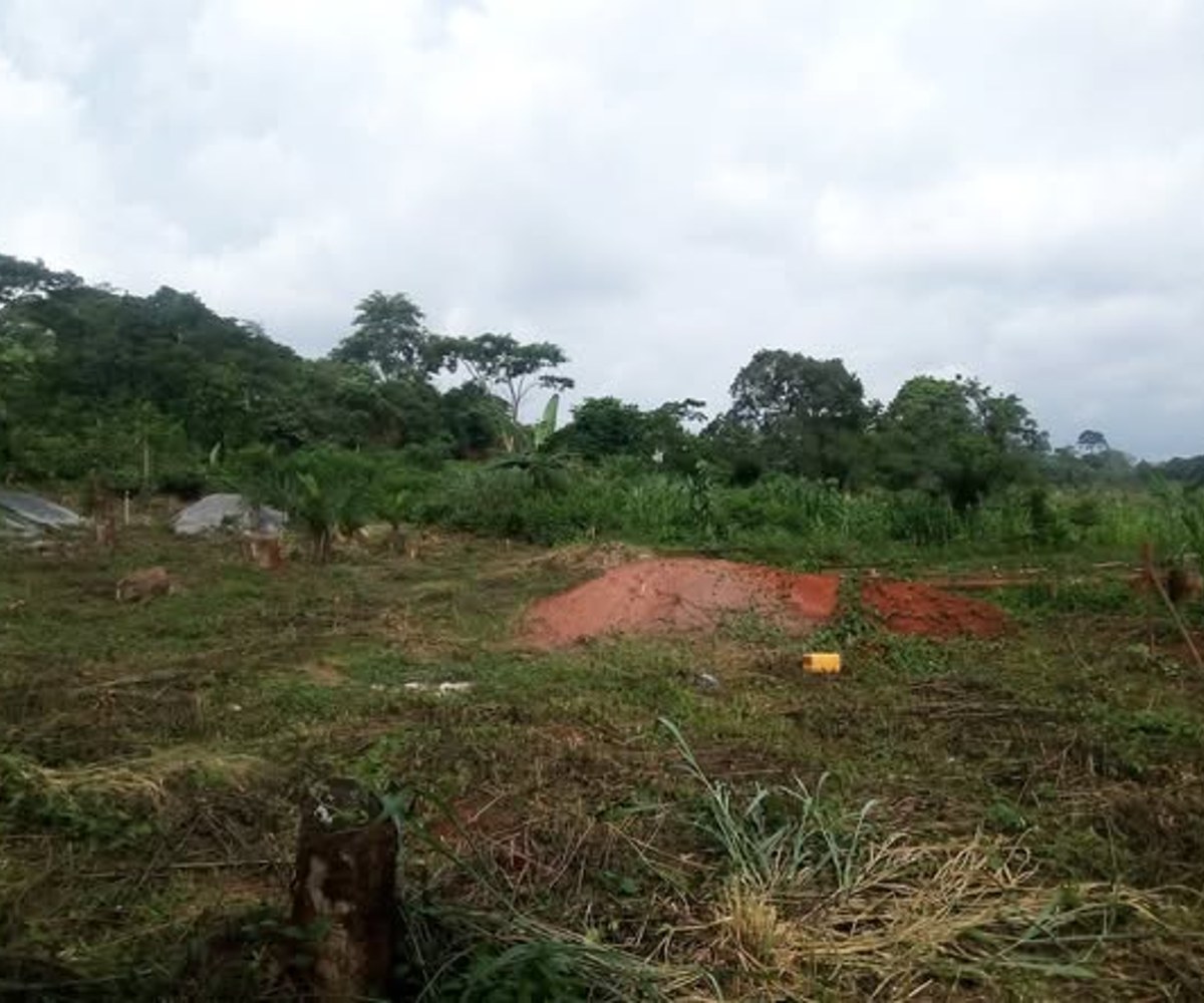 Terrain titré 600m² à Leboudi