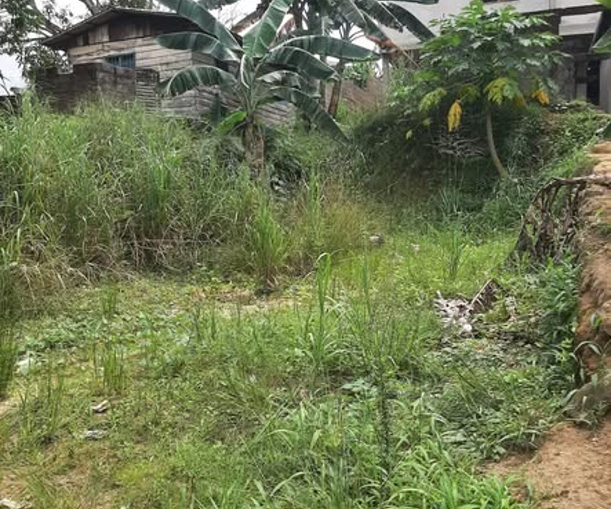 Terrain plat et sec à vendre à PK 12 Douala