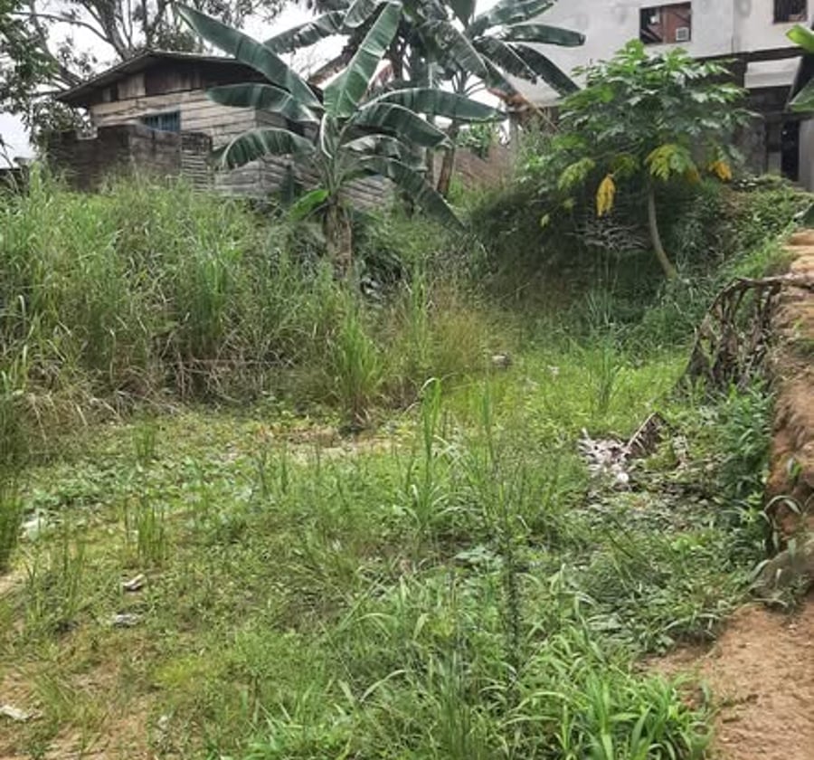 Terrain plat et sec à vendre à PK 12 Douala