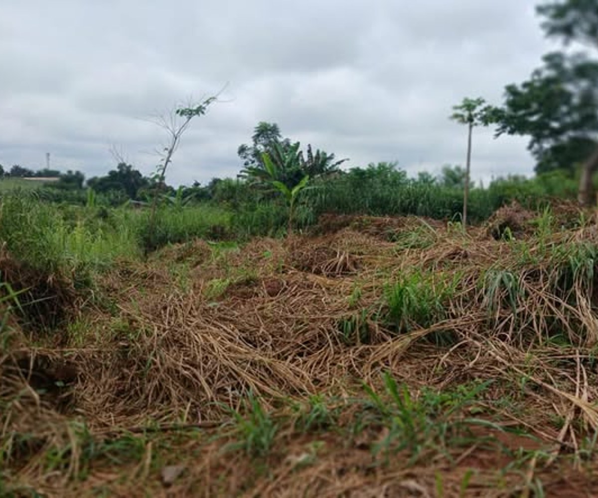 Vente terrain titré Nsimalen Mimetala