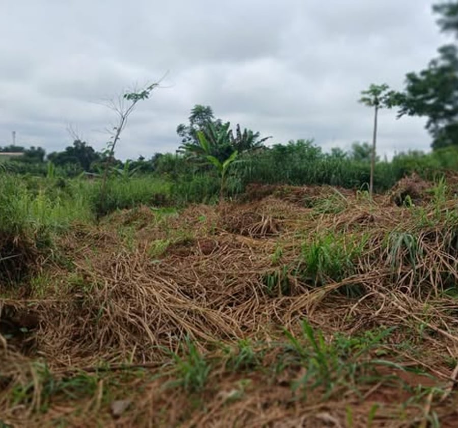 Vente terrain titré Nsimalen Mimetala