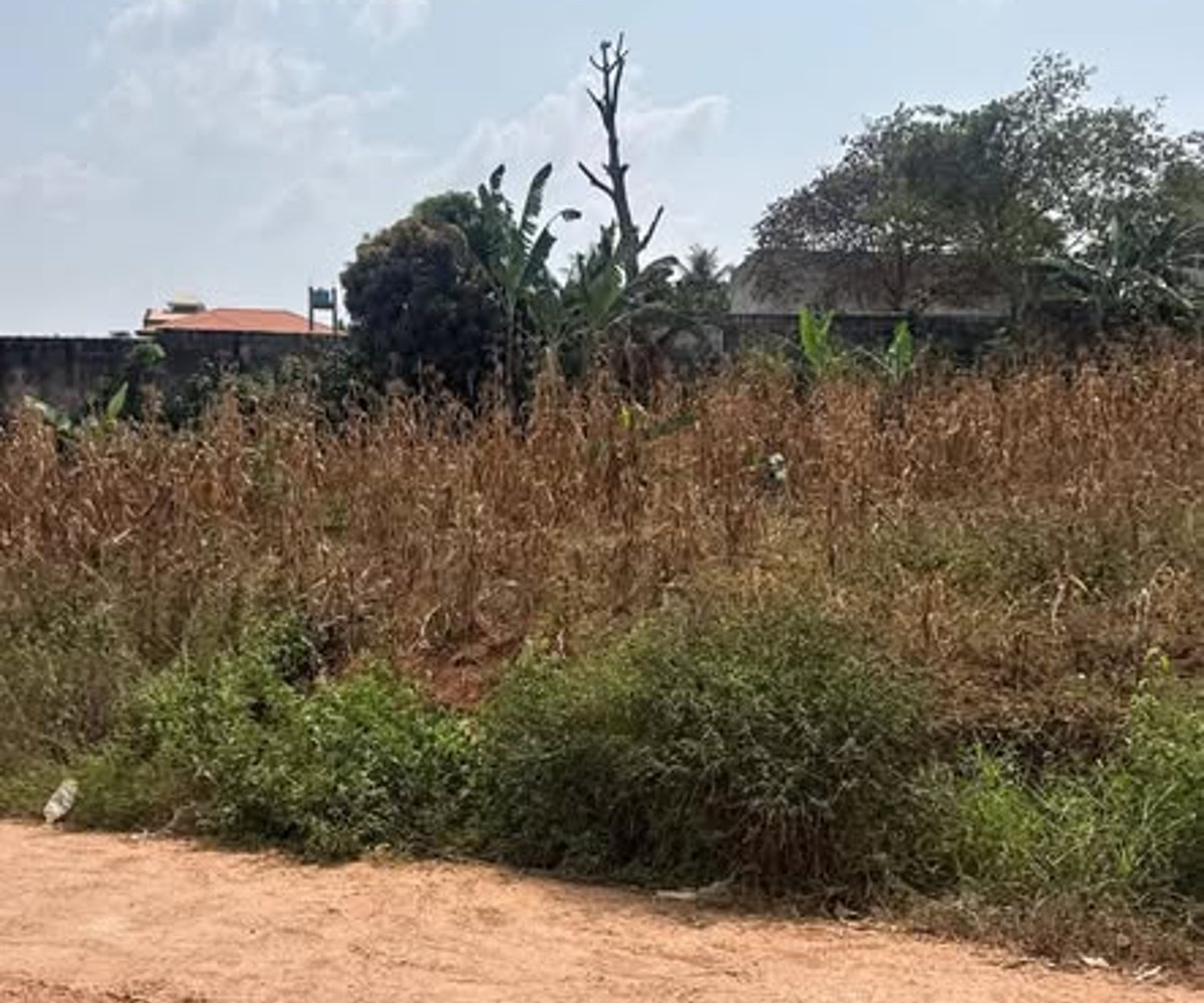 Terrain titré à vendre à Nkolfoulou, Yaoundé