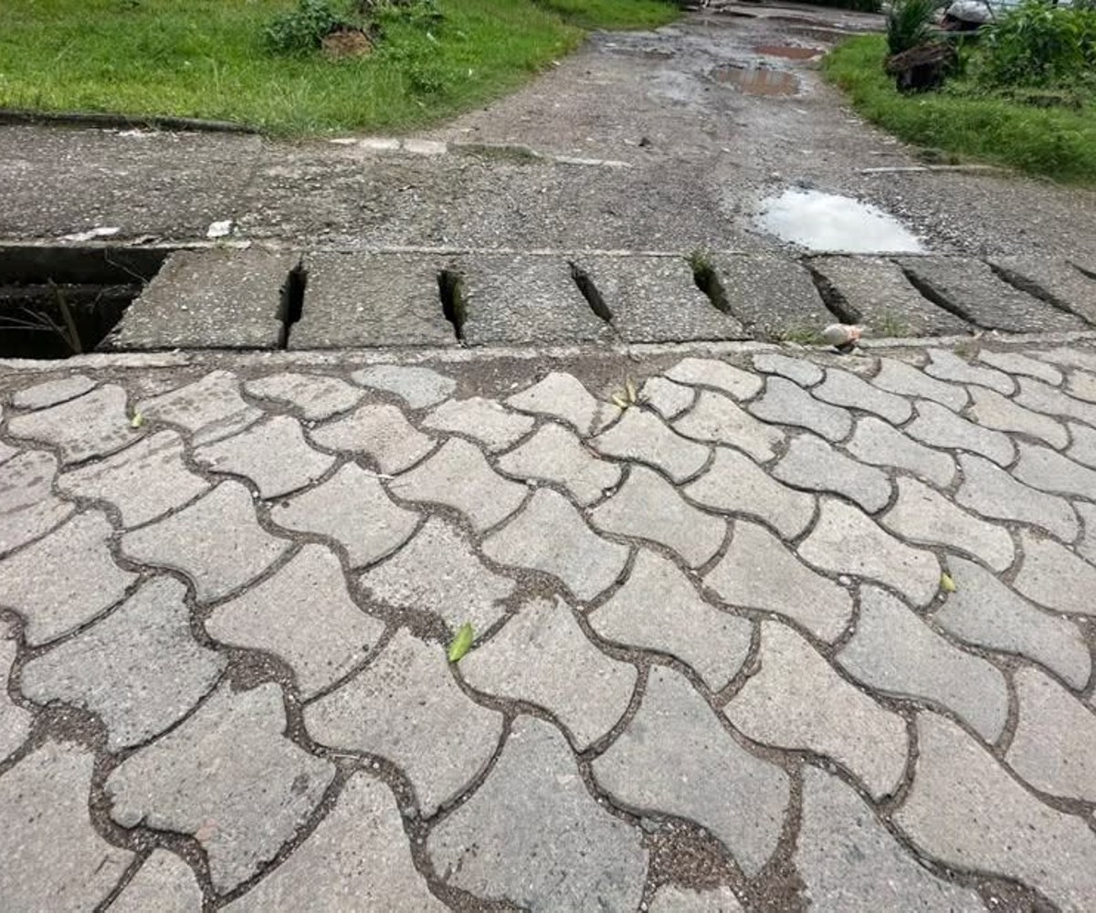 Terrain à vendre – Bonaberi, Douala