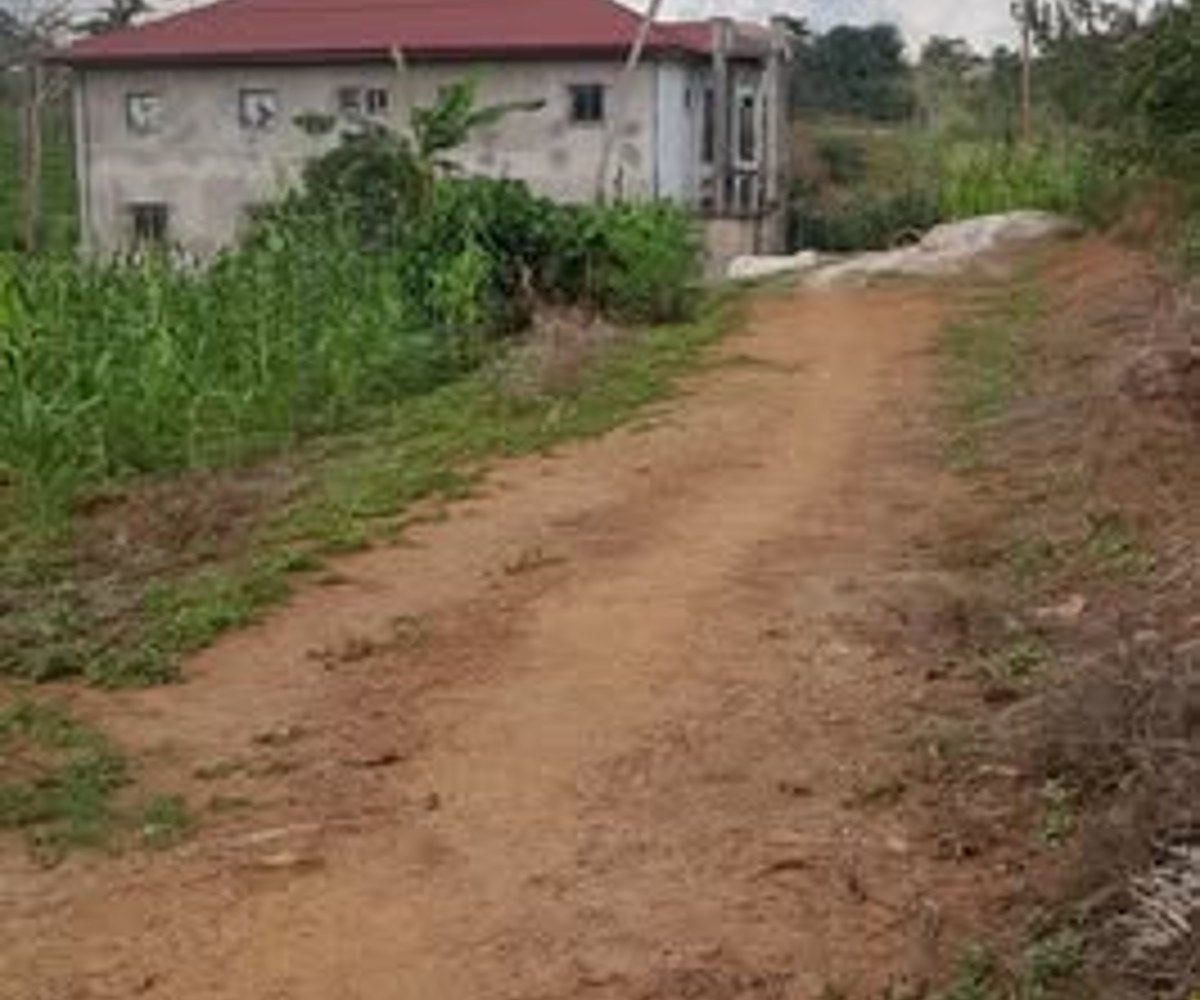 Terrain titré de 500 m² à vendre au centre-ville de Mfou