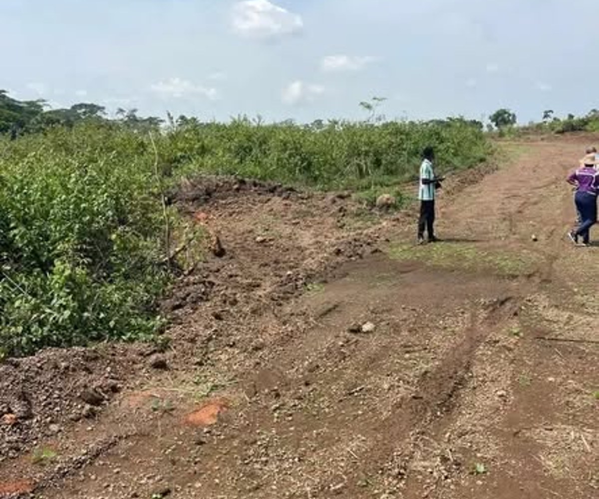 Terrain à vendre à Meyo – Essabi