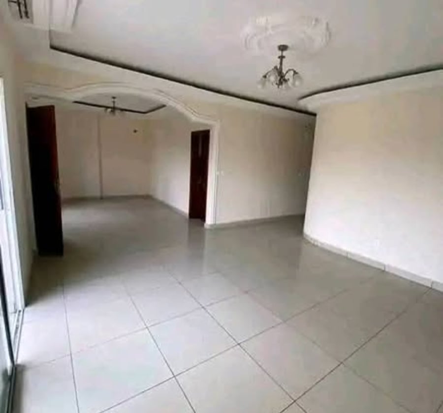 Appartement moderne haut standing à louer - Nyalla, Douala