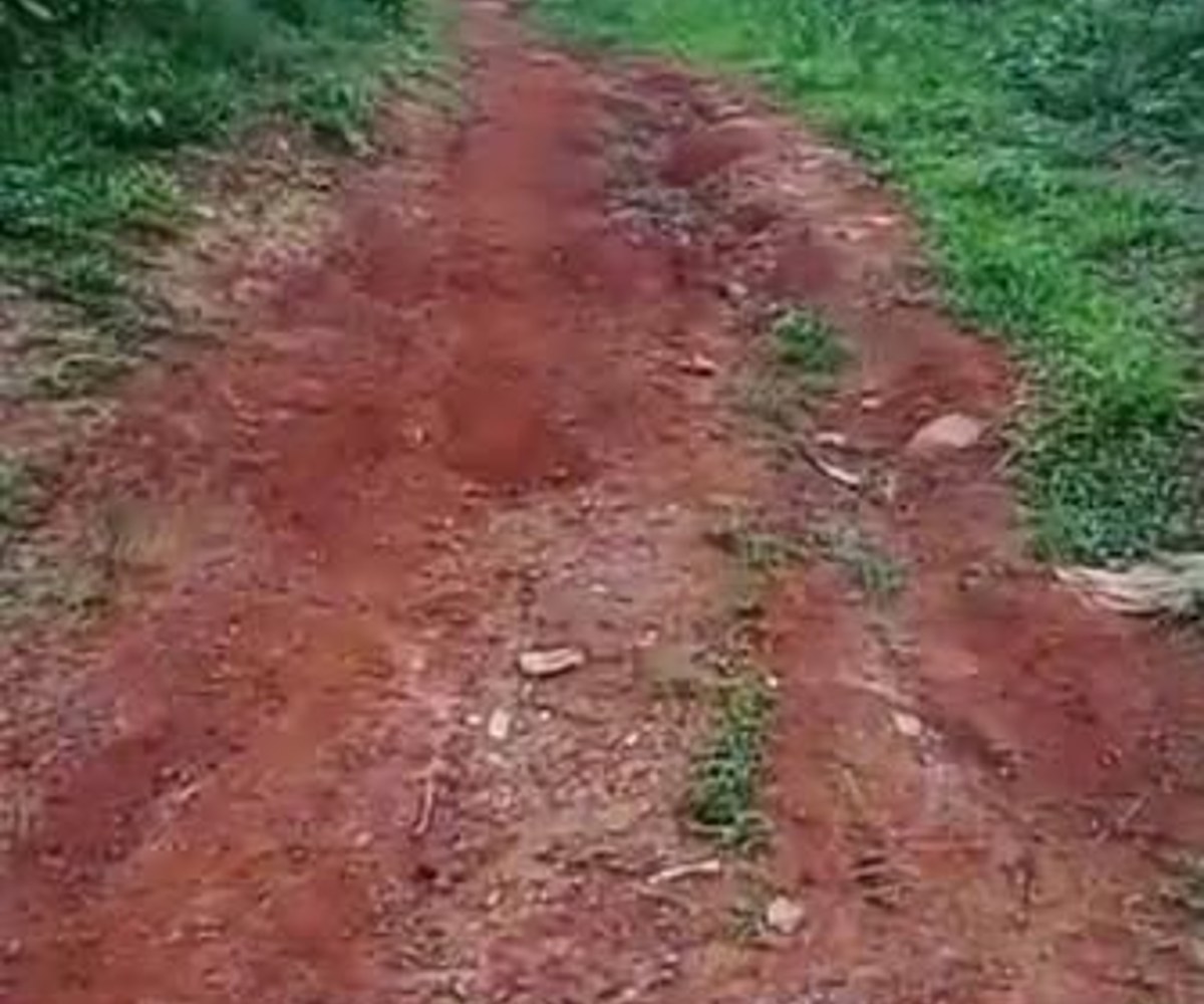 Terrain titré 500 m² - Soa