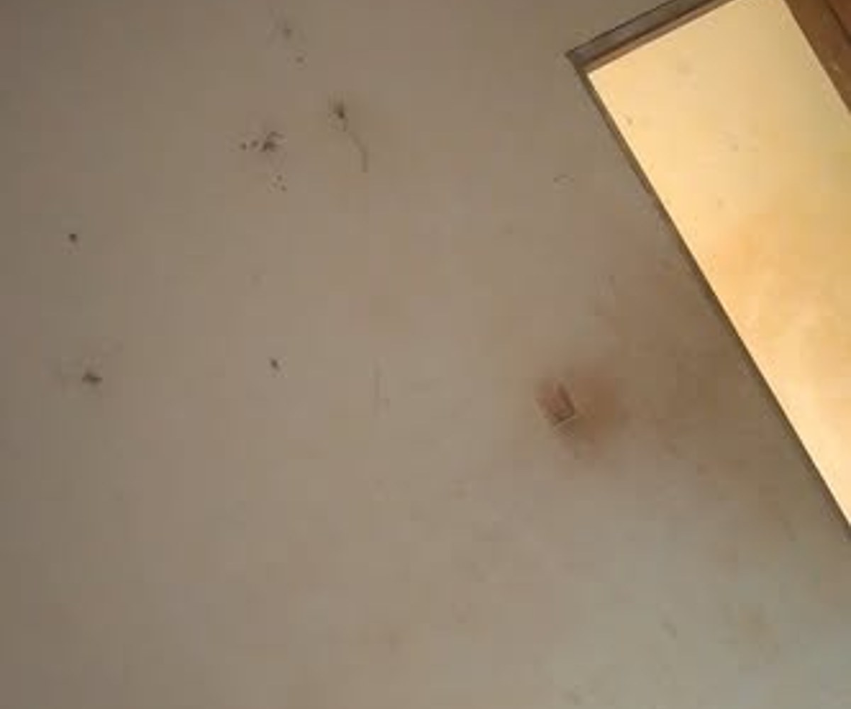 Studio simple à louer - Ekie
