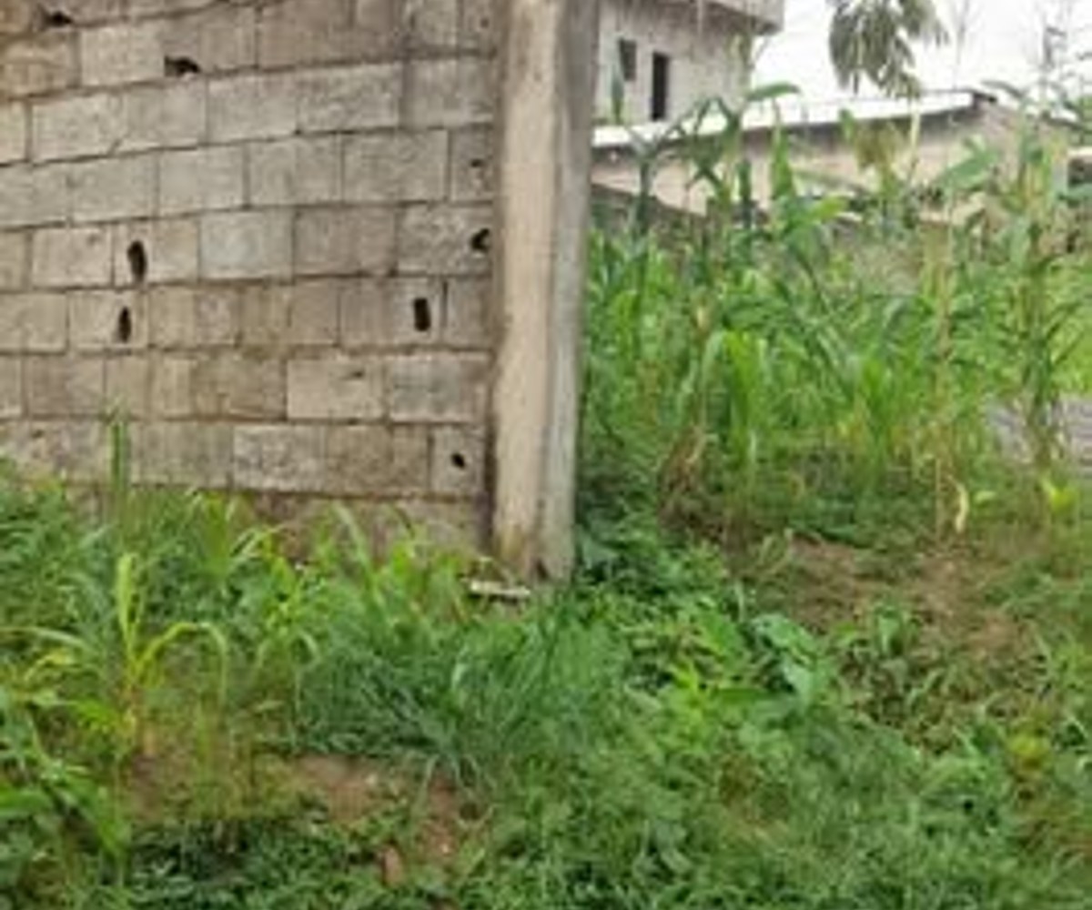 Terrain titré de 300 m² à vendre à Japoma Cocotier