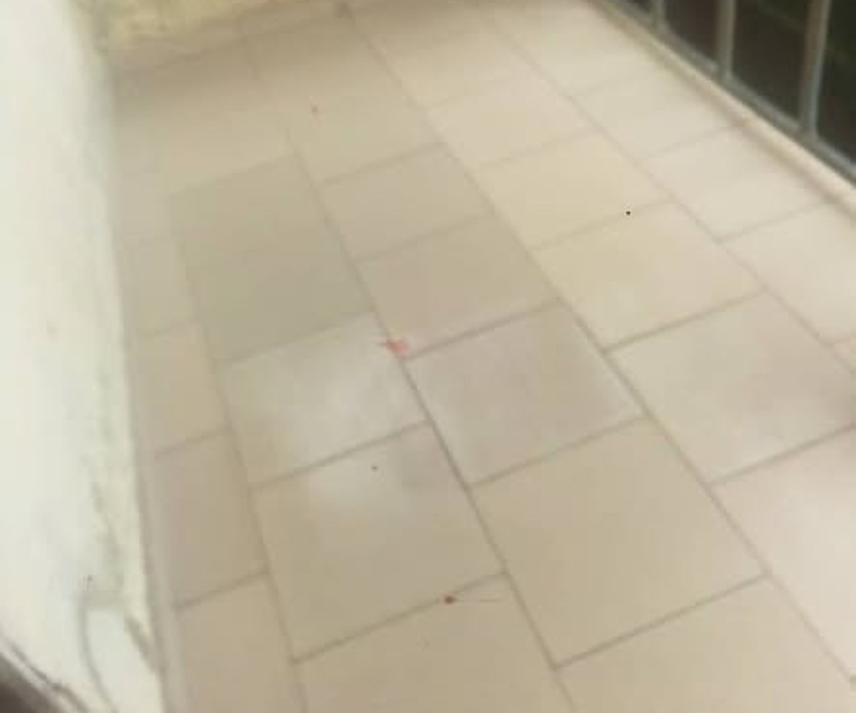Appartement à louer PK 10