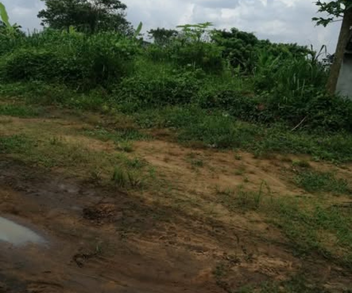Terrain à vendre à Mbanga Bakoko – Douala Horizon