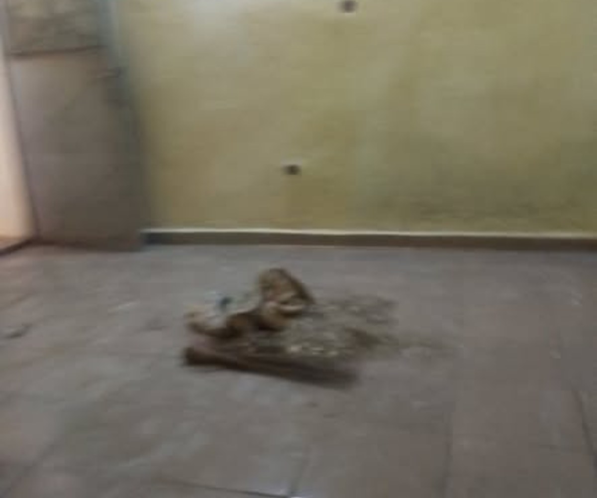 Chambre moderne à Nsimeyong
