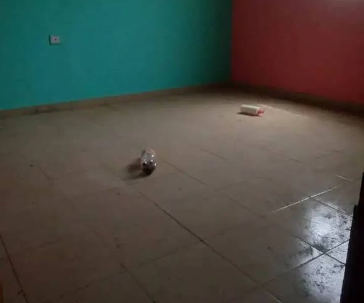 Studio moderne à louer - Nkolbisson, Yaoundé