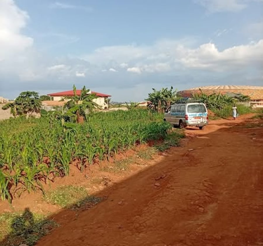 Terrain titré à vendre à Olembe (Yaoundé)