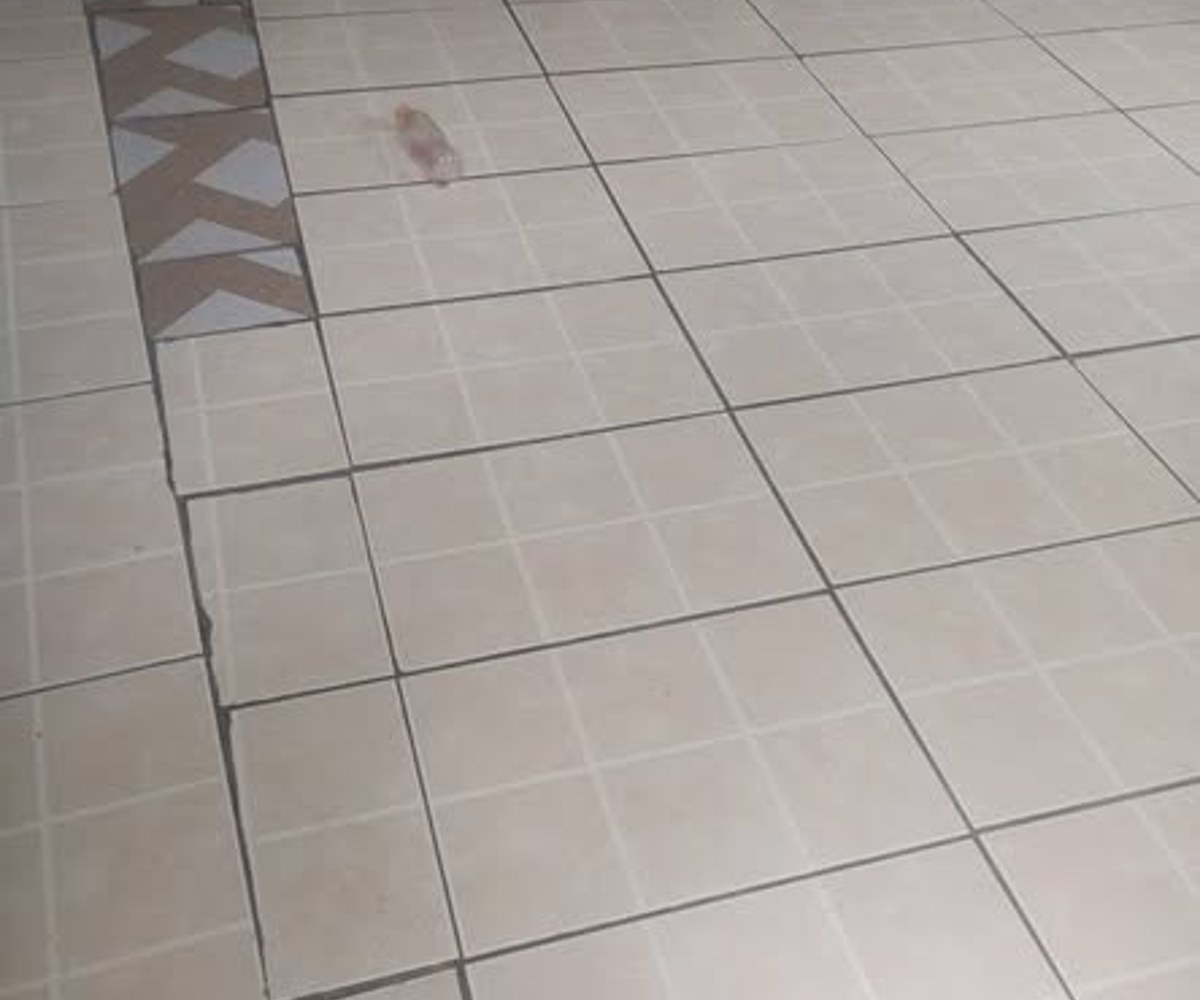 Chambre à louer à Beedi - 25 000 FCFA/mois