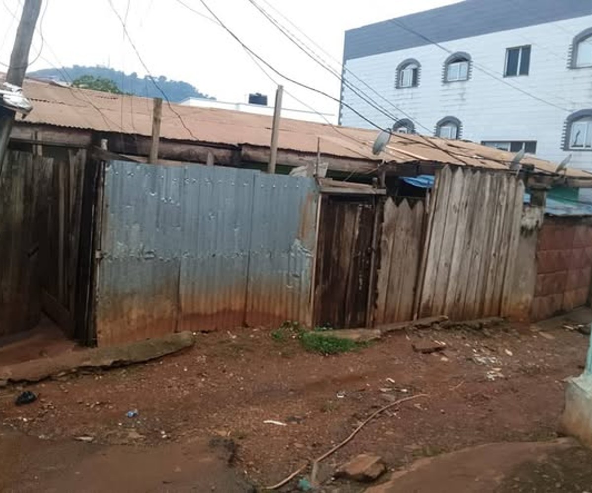 Terrain à vendre – Tsinga, Yaoundé – 463 m²