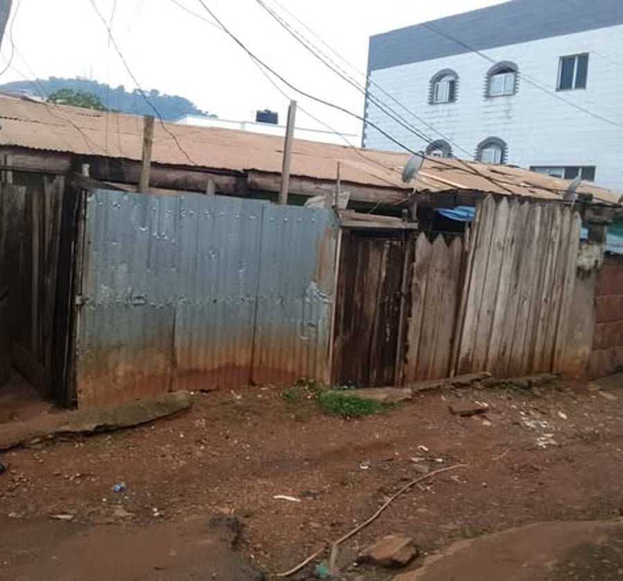 Terrain à vendre – Tsinga, Yaoundé – 463 m²